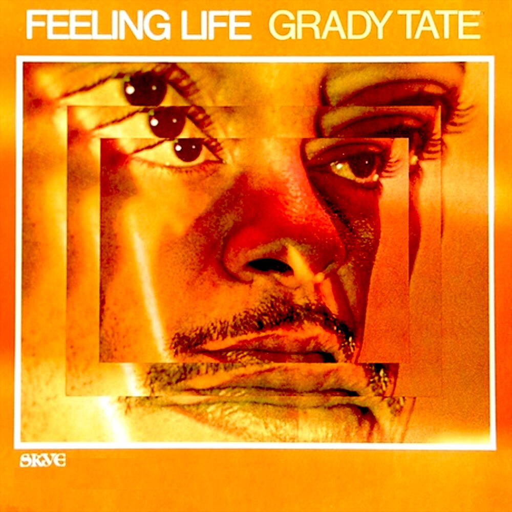 Picture of Feeling Life