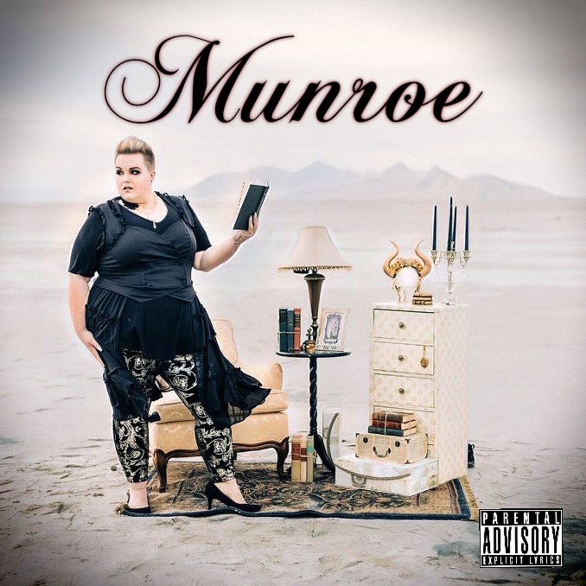 Album cover of The Revision