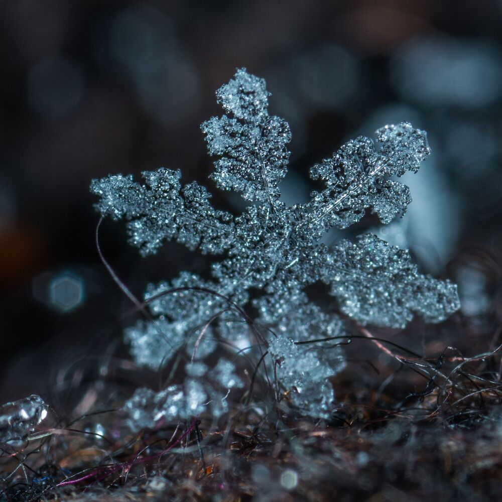 Picture of A Christmas Miracle 2018 - 20 Divinely Beautiful Melodies