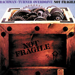 Cover of Not Fragile