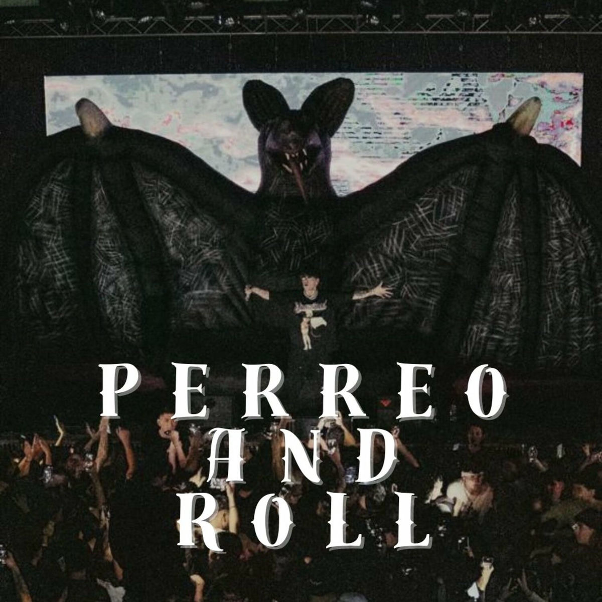 Album cover of Perreo and Roll