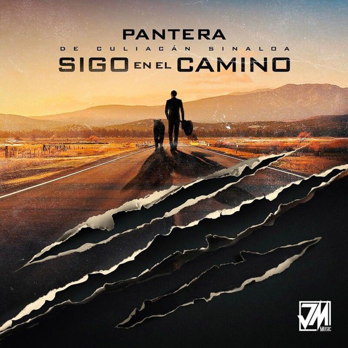 Album cover of Sigo En El Camino
