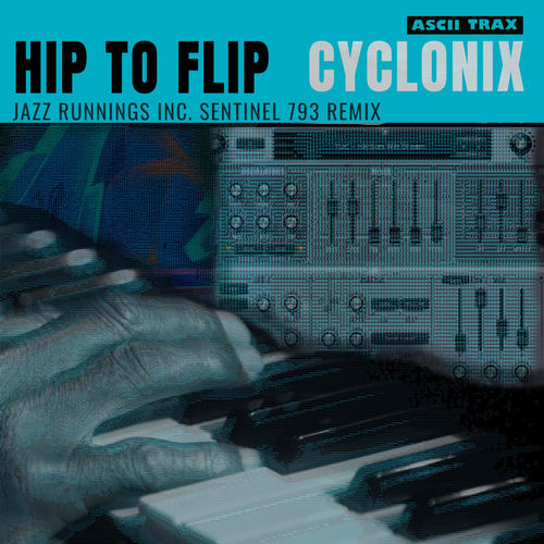 Hip to Flip artwork