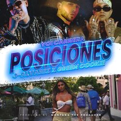 Cover of Posiciones