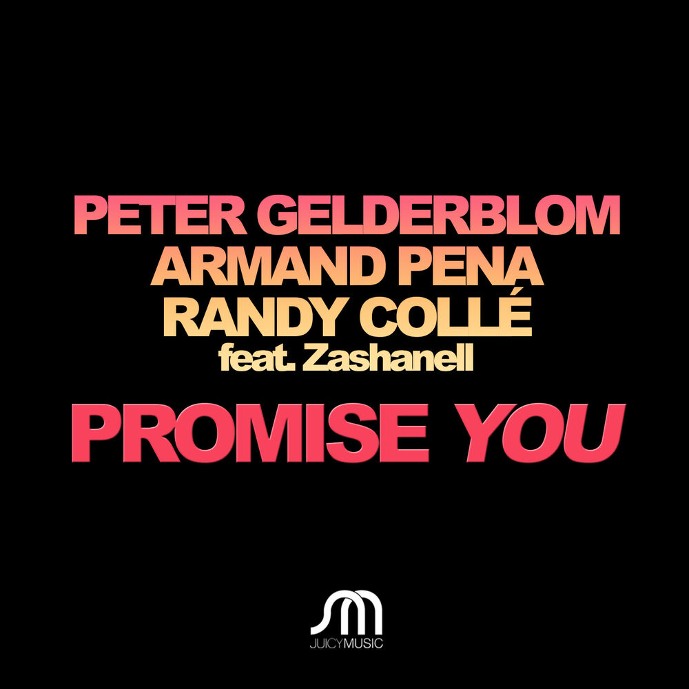 Picture of Promise You