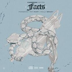 Cover of Facts (Remix)