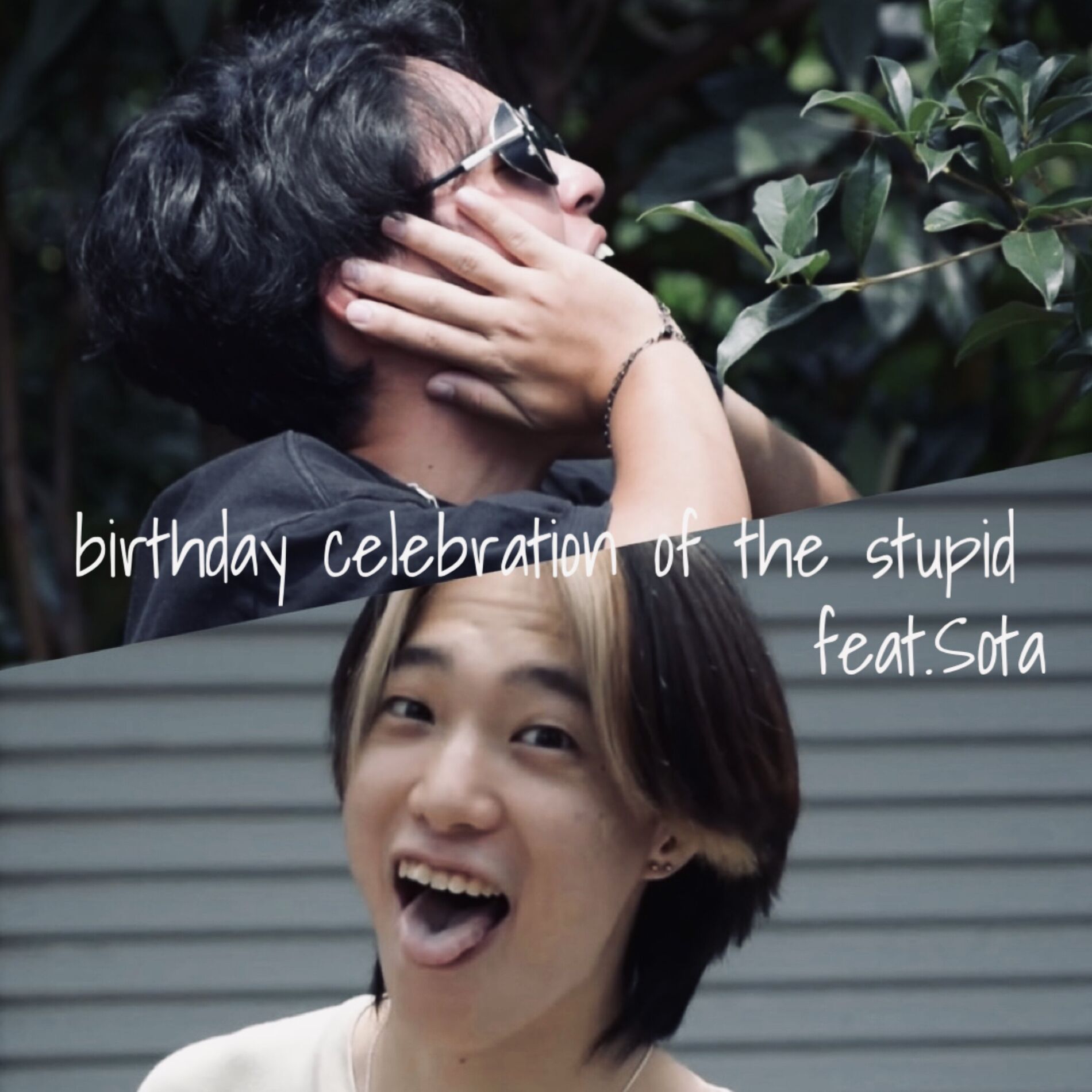 Album cover of birthday celebration of the stupid (feat. SOTA)