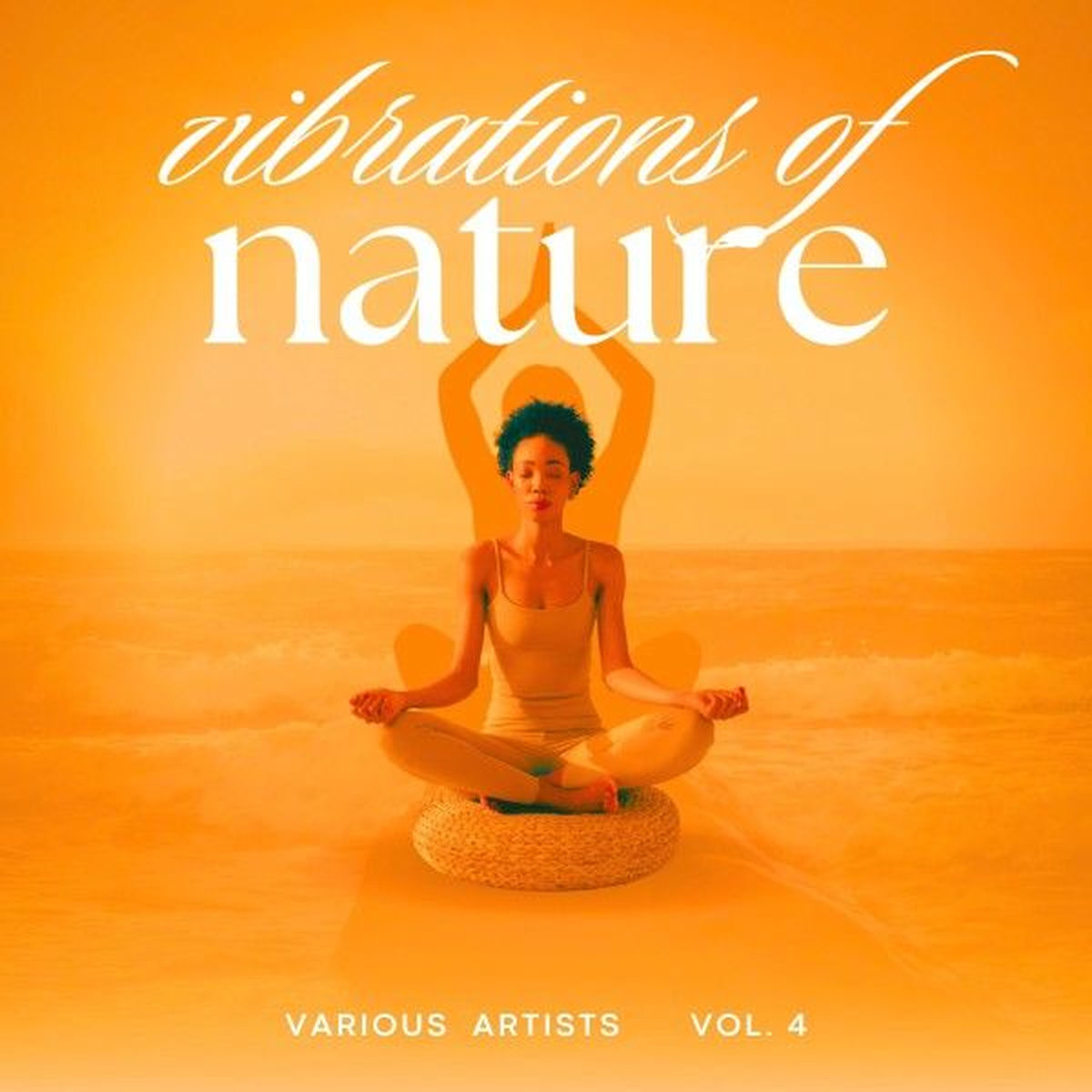 Album cover of Vibrations of Nature, Vol. 4
