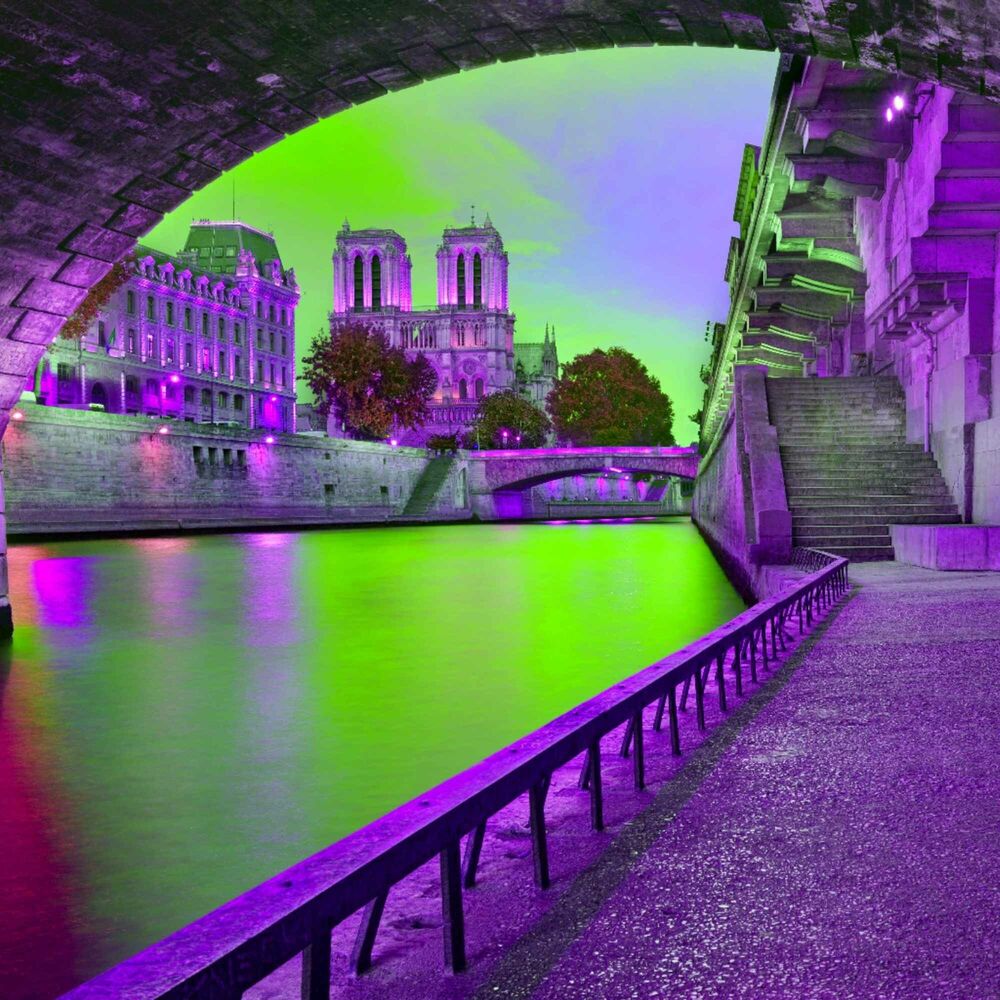 Picture of Joyful Backdrop for Winter Reflections