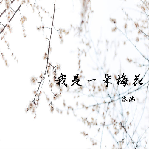 我是一朵梅花