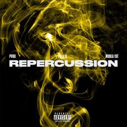 Cover of Repercussion