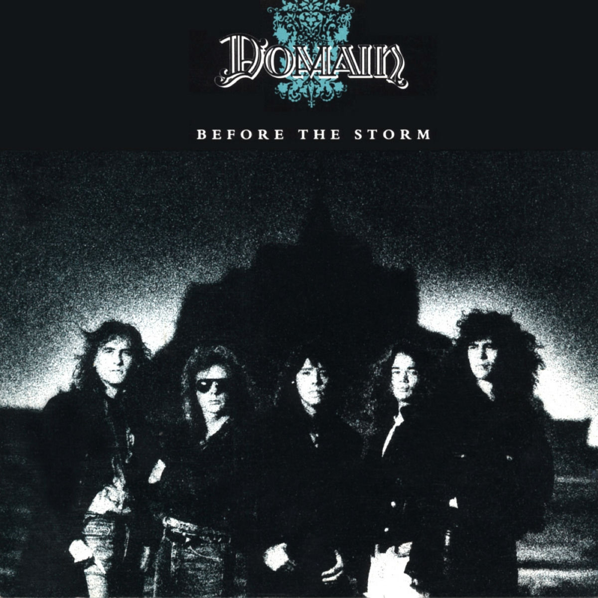 Album cover of Before The Storm