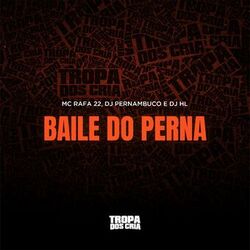 Cover of Baile do Perna