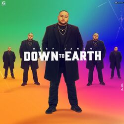 Cover of Down to Earth