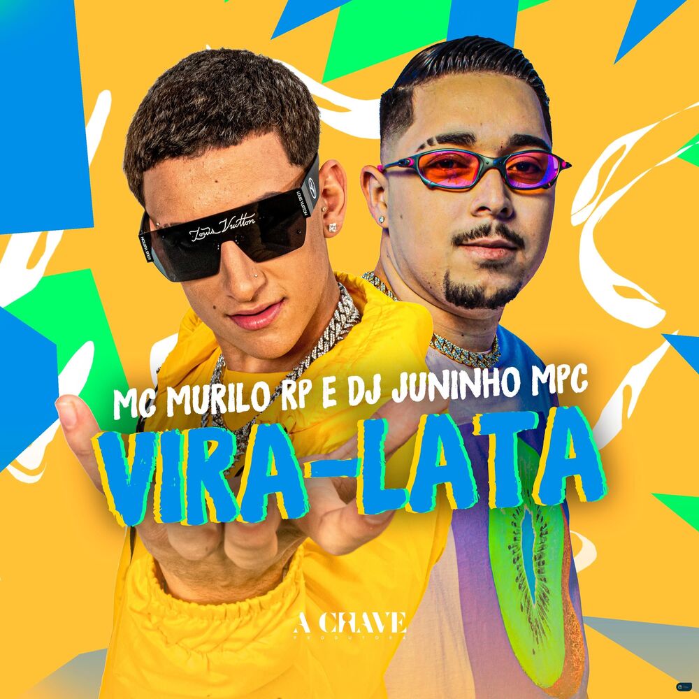 Picture of Vira-Lata