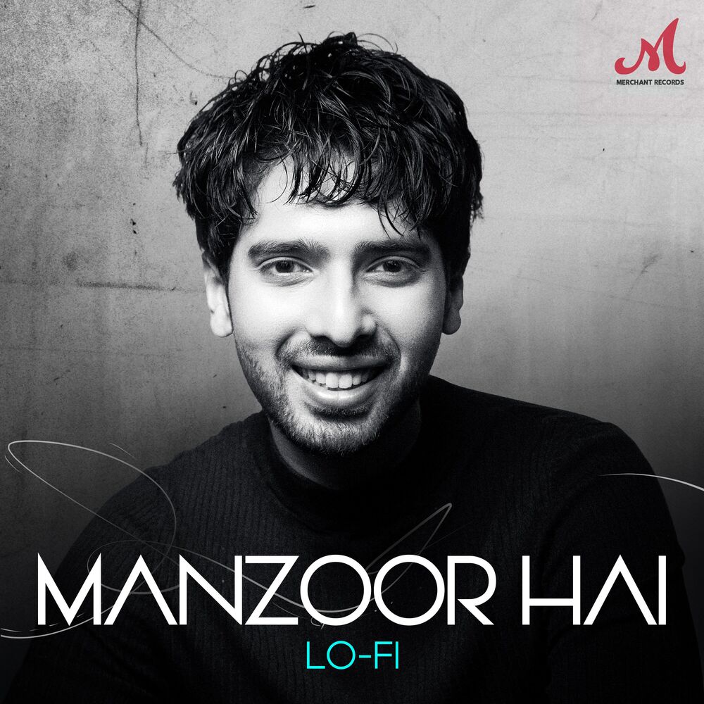 Picture of Manzoor Hai (Lofi)