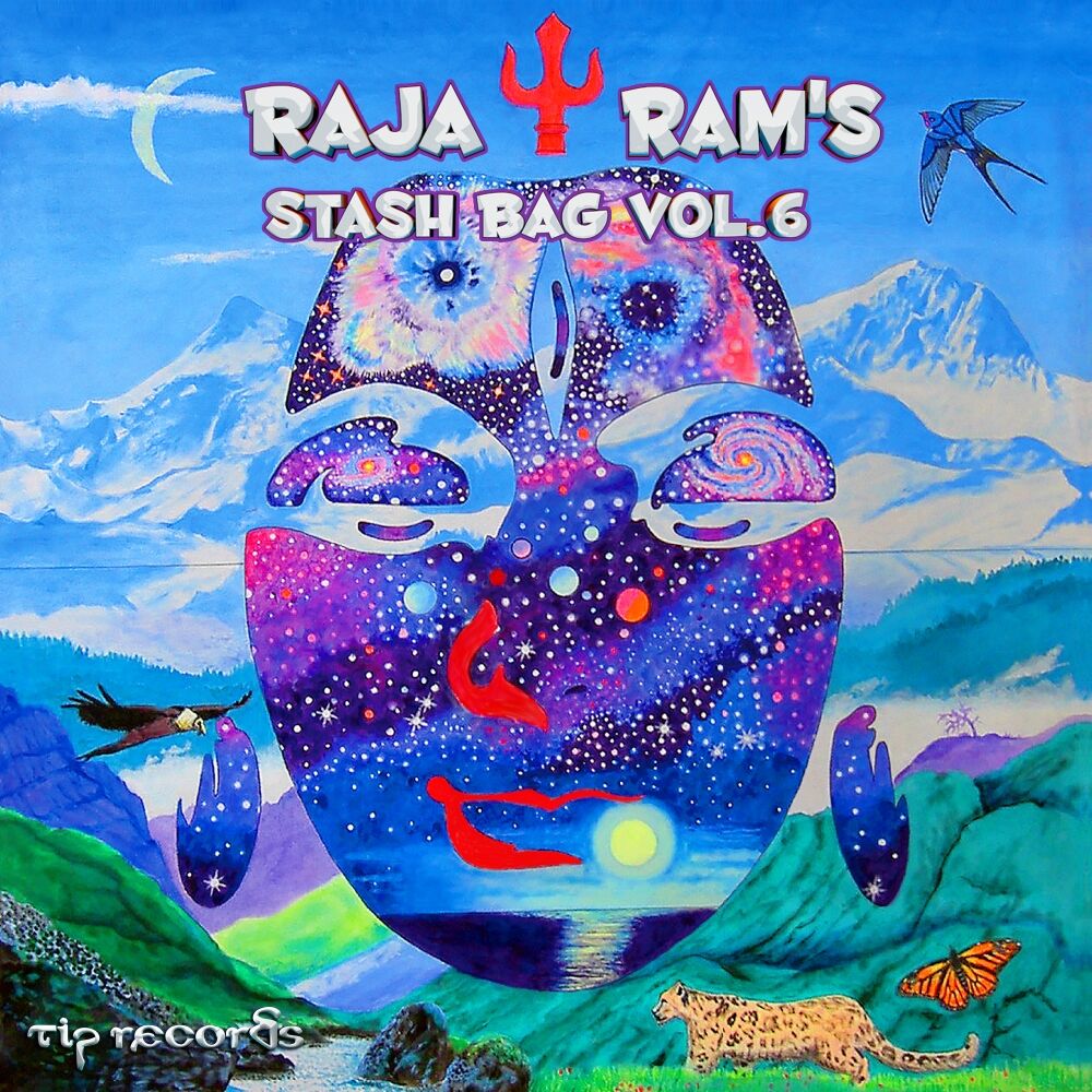Picture of Stash Bag, Vol. 6