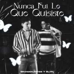 Cover of Nunca Fui Lo Que Quisiste