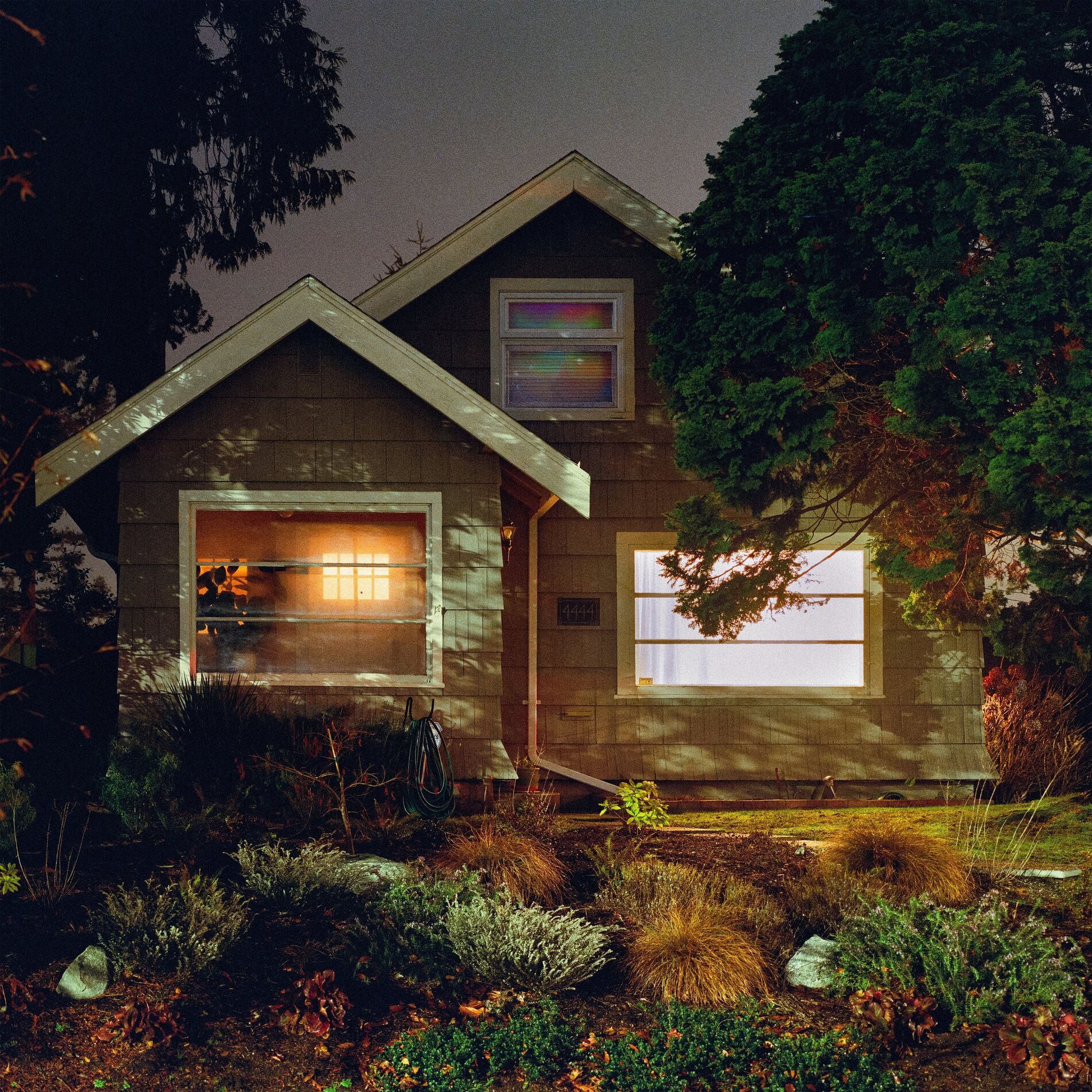 Album cover of the sugar machine