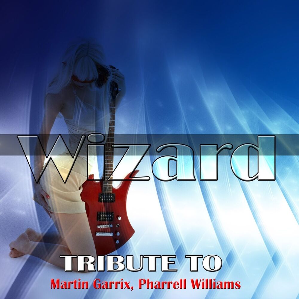 Picture of Wizard: Tribute to Martin Garrix, Pharrell Williams