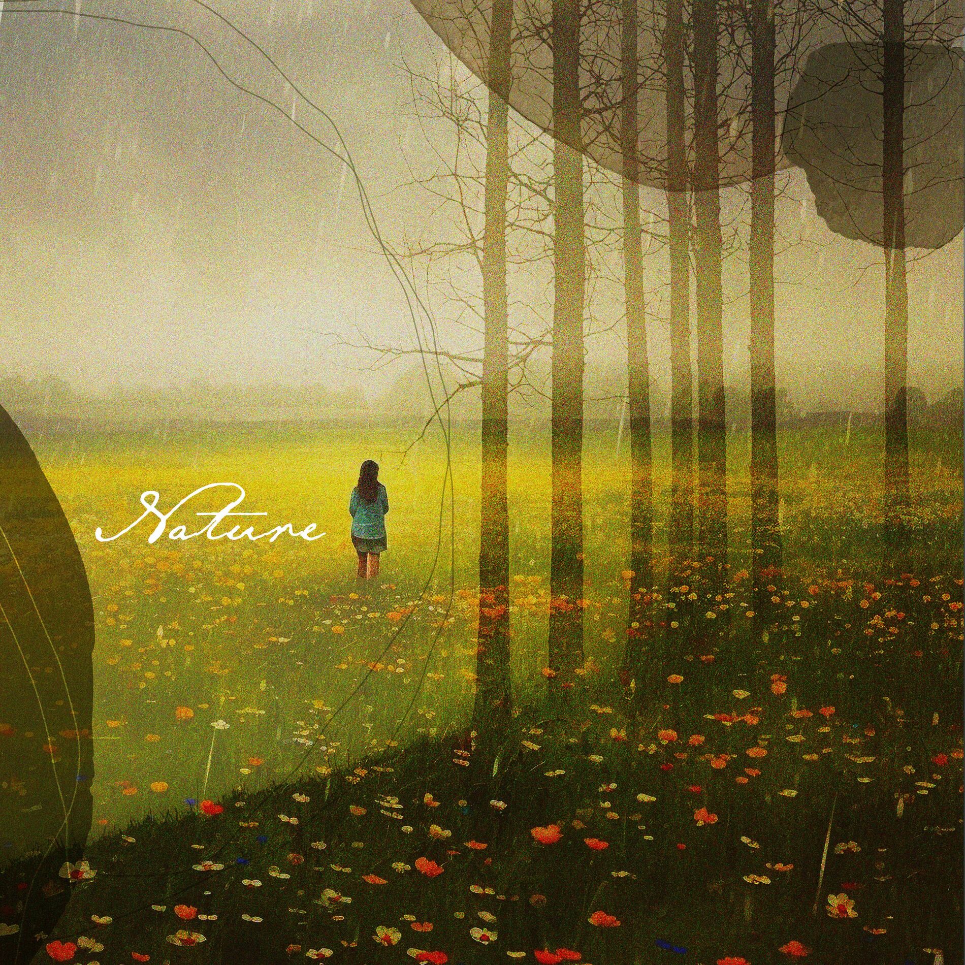 Album cover of Nature