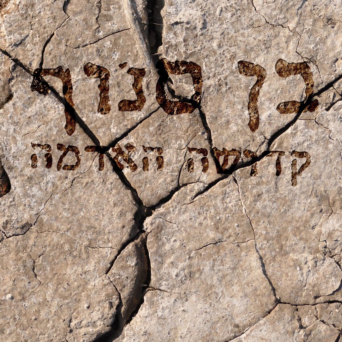 Album cover of קדושה האדמה