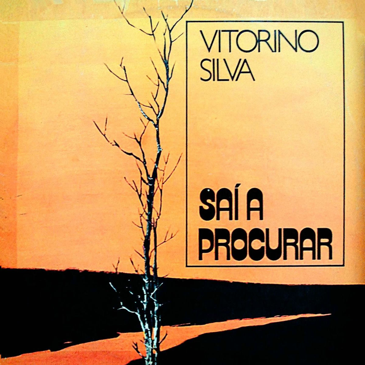 Album cover of Saí A Procurar