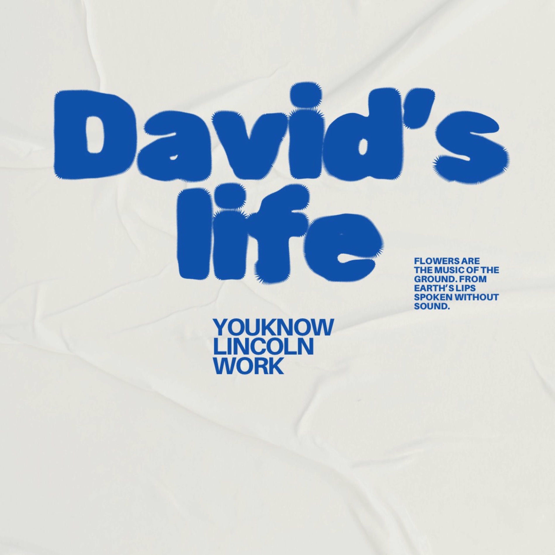 Album cover of David's life