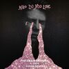 CHAINSMOKERS & 5 SECONDS OF SUMMER - Who Do You Love