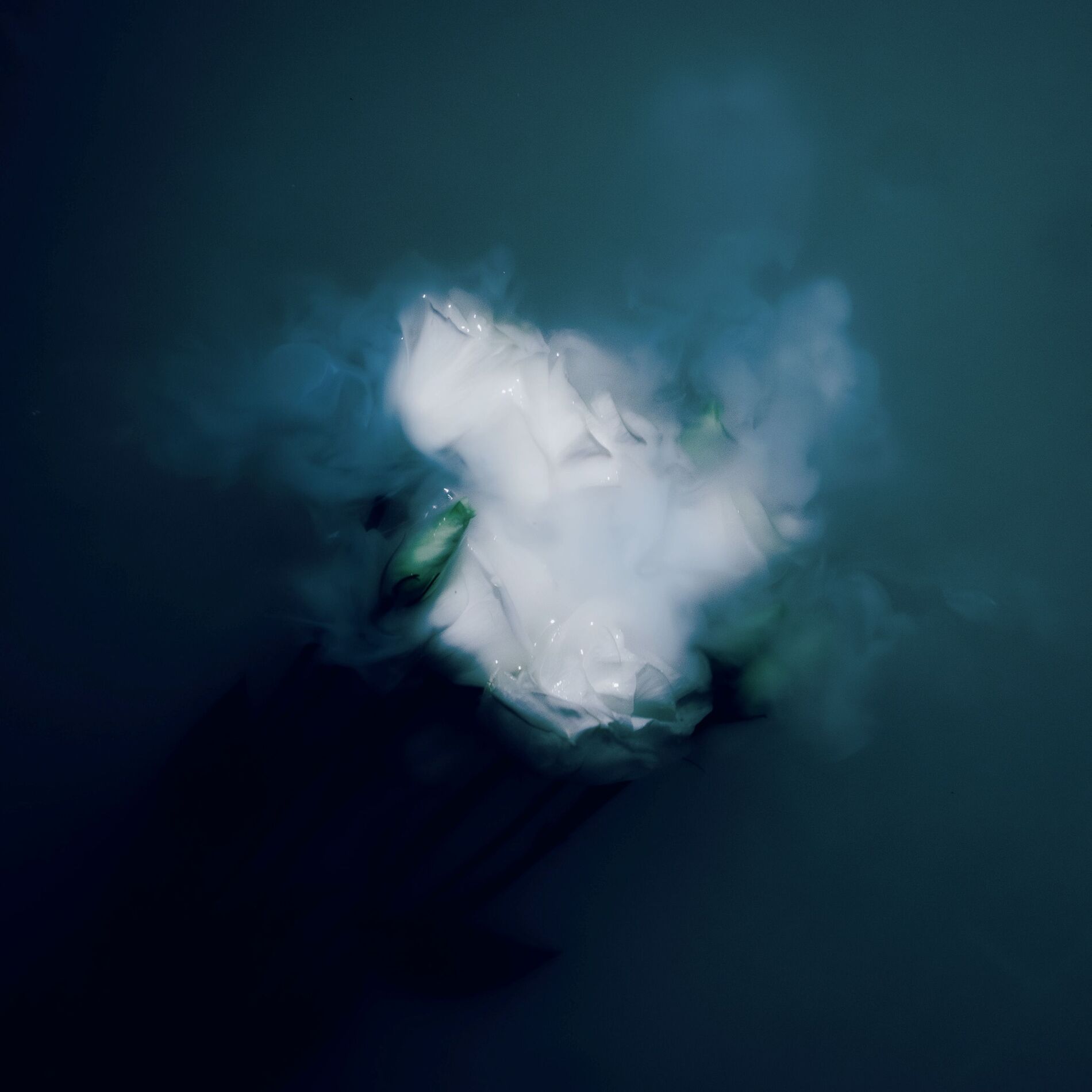 Album cover of Isolde