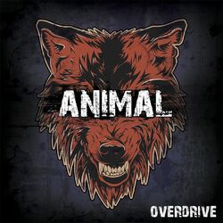 Cover of Animal