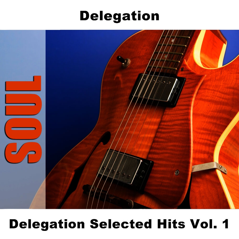 Picture of Delegation Selected Hits Vol. 1