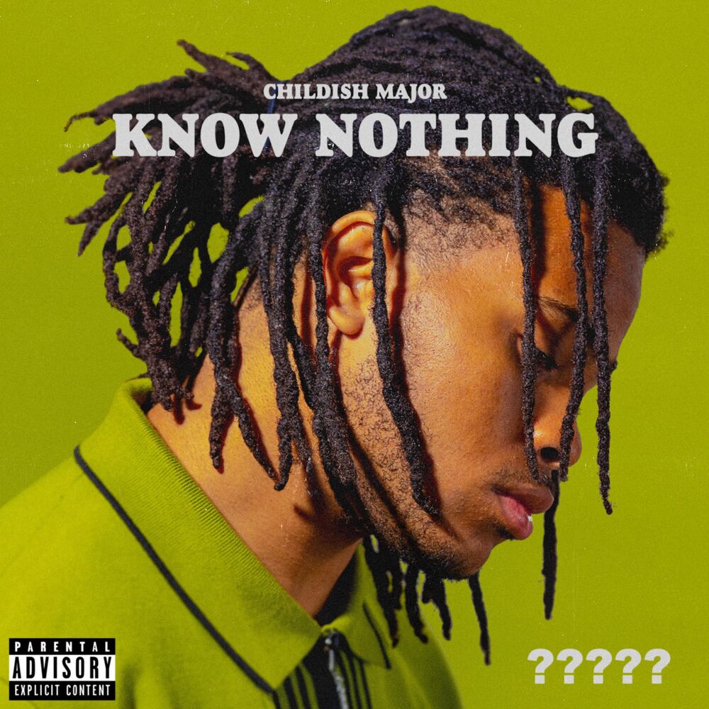 Picture of Know Nothing
