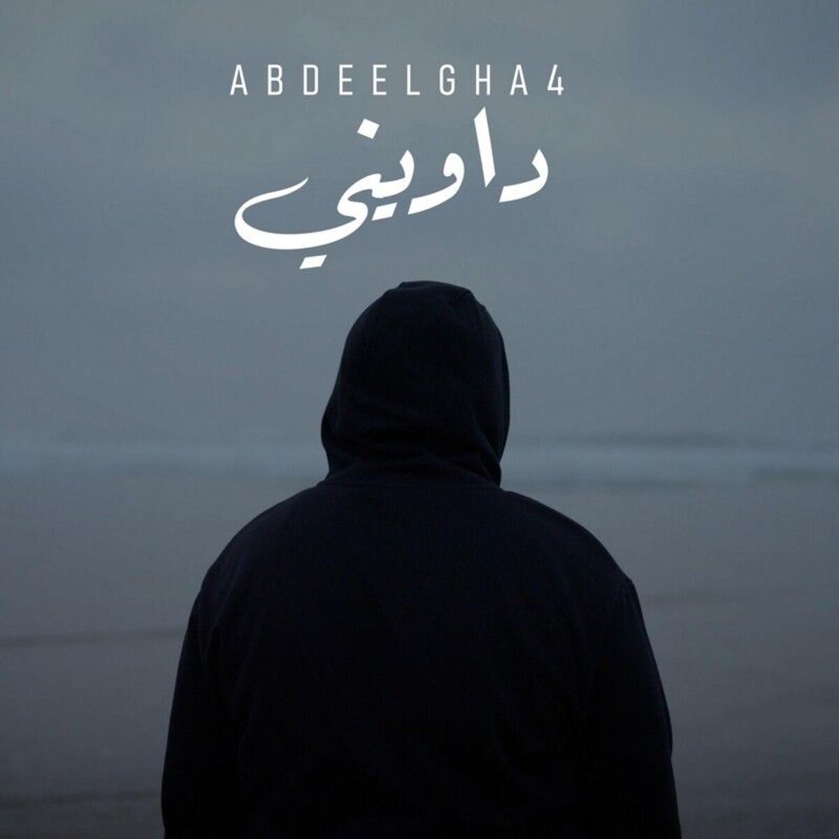 Album cover of Dawini