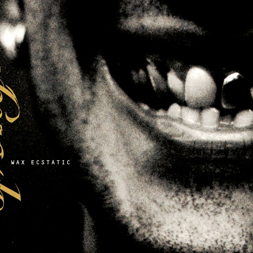 Picture of Wax Ecstatic