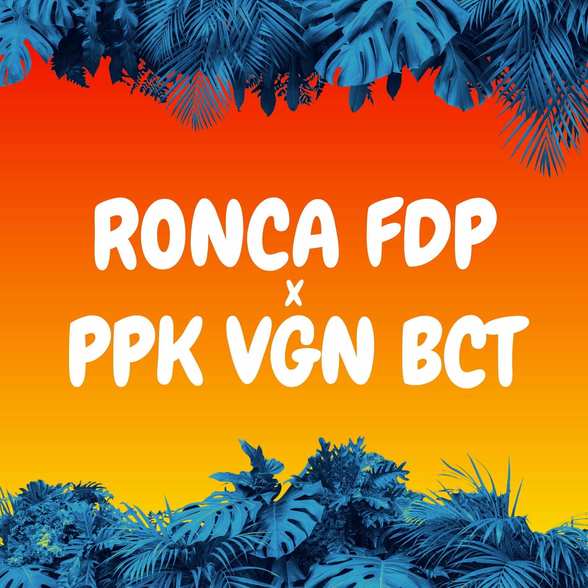 Album cover of RONCA FDP X PPK VGN BCT