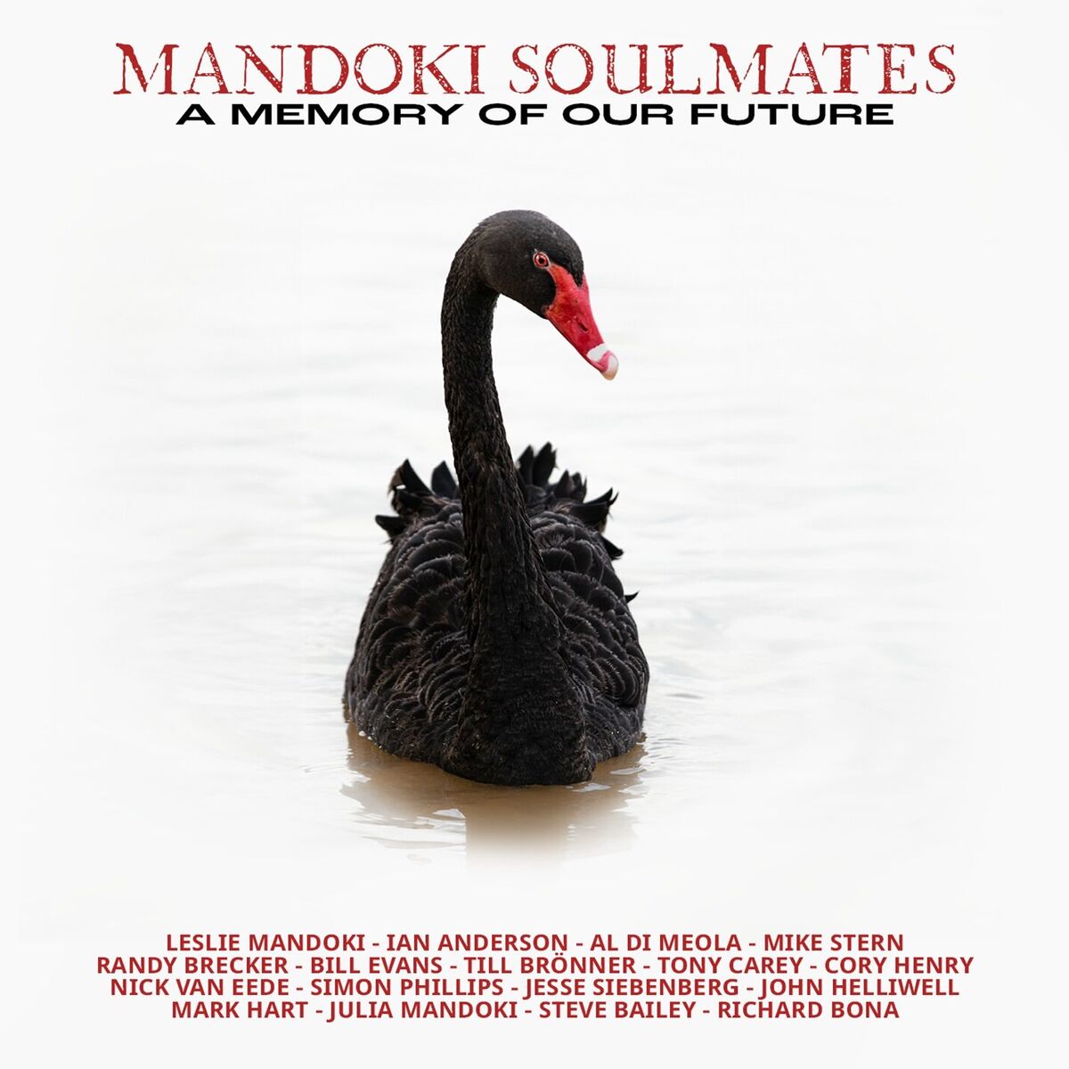 Album cover of Blood in the Water