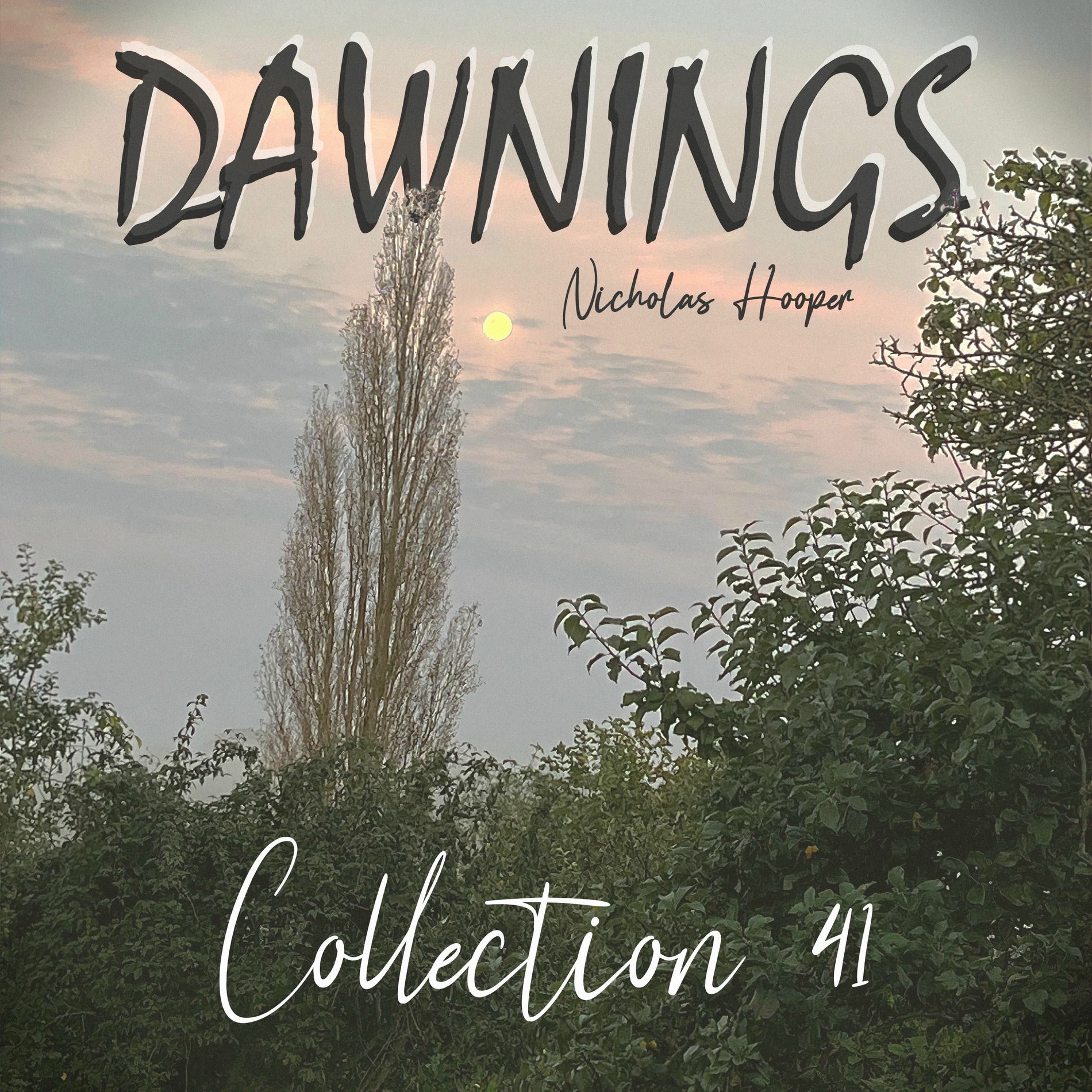 Album cover of Dawnings: Collection 41
