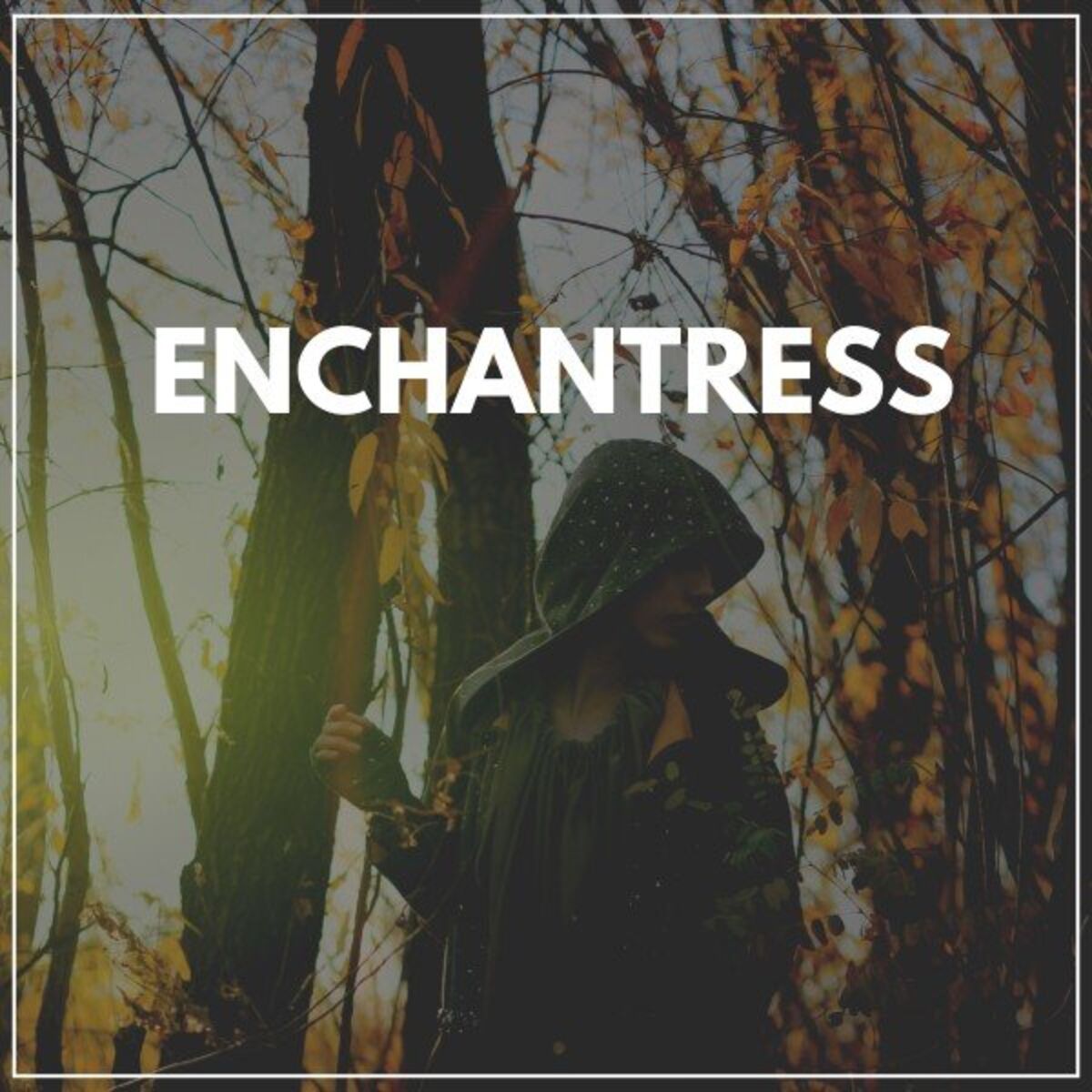 Album cover of Enchantress