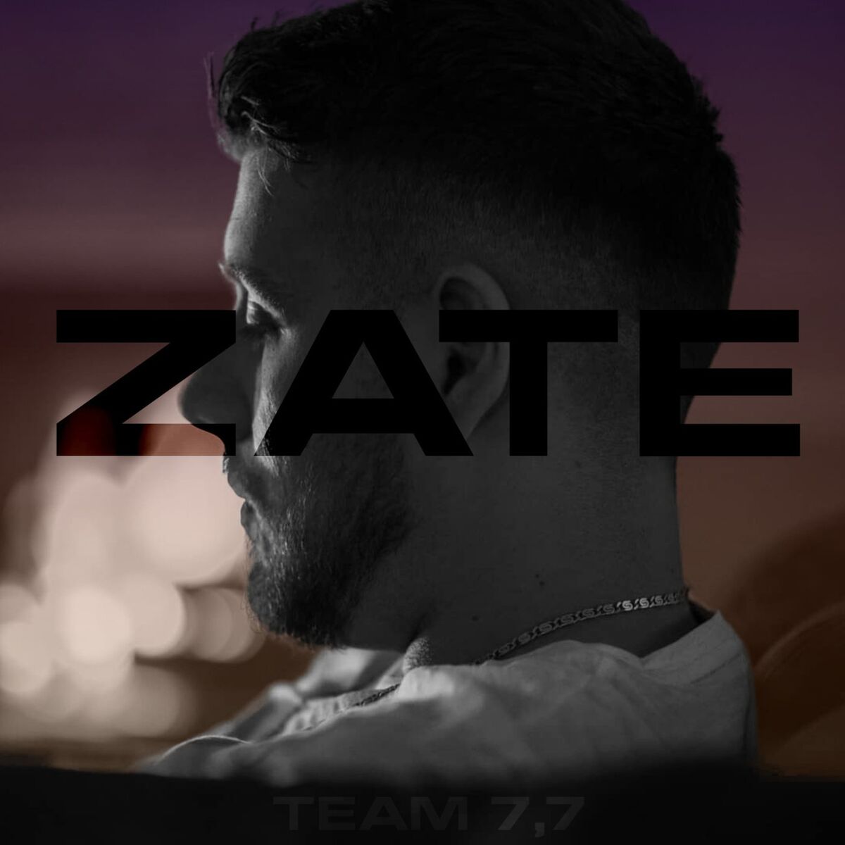 Album cover of Zate