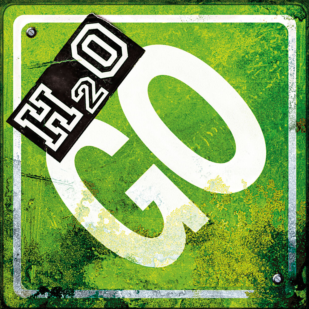 Picture of Go