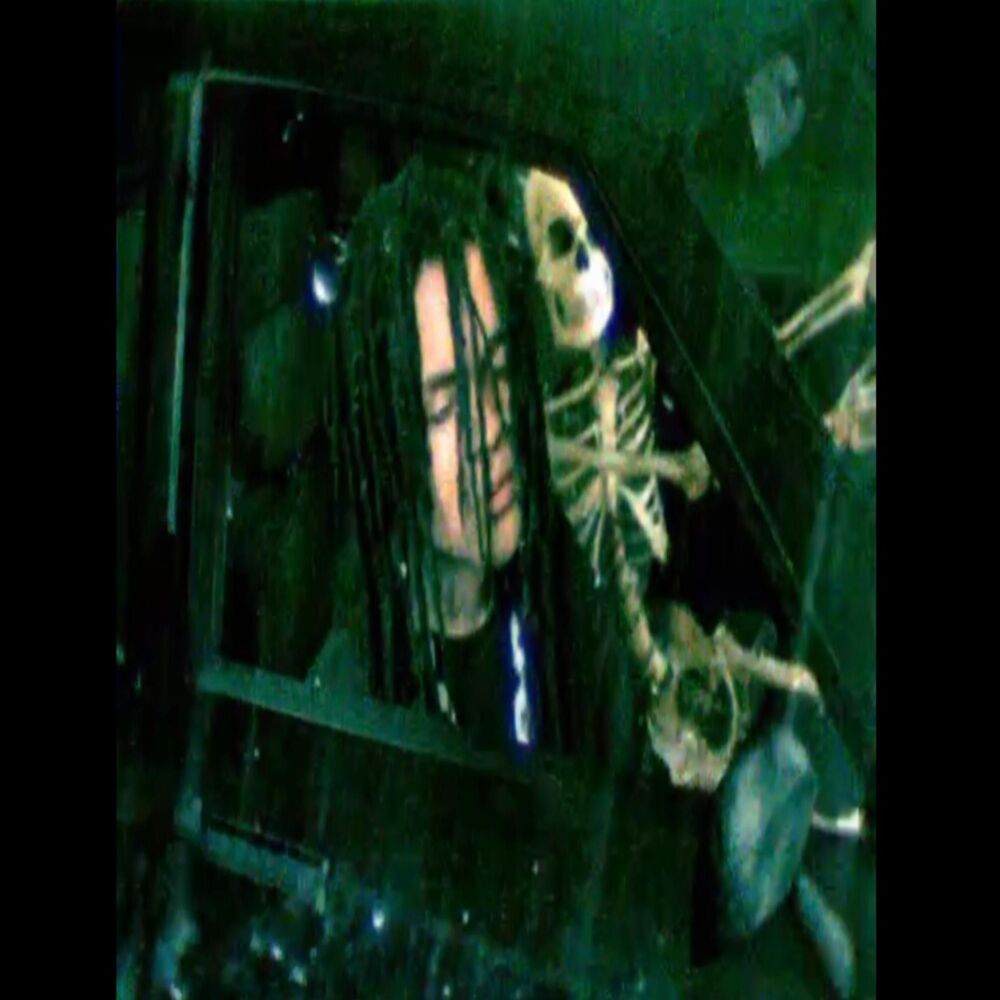 Picture of SkullCam (feat. LV*RK)