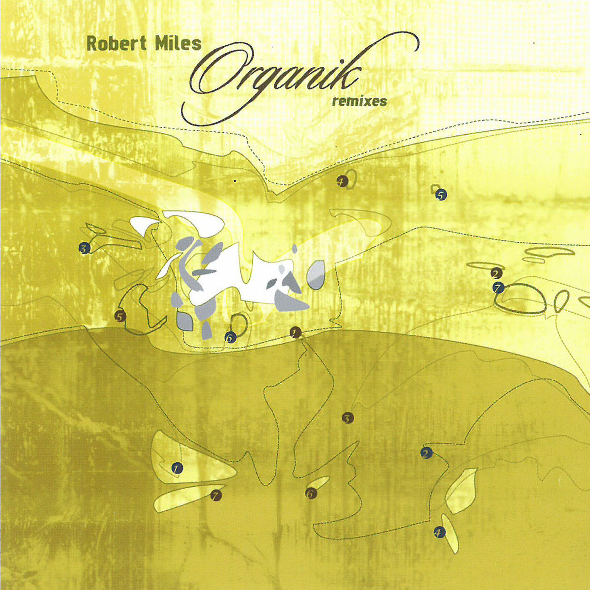 Album cover of Organik Remixes