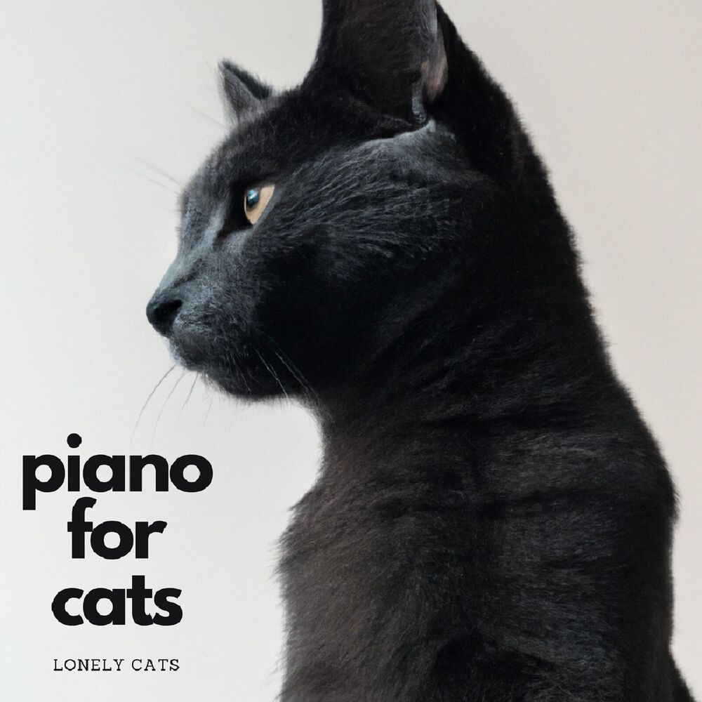 Picture of Lonely Cats