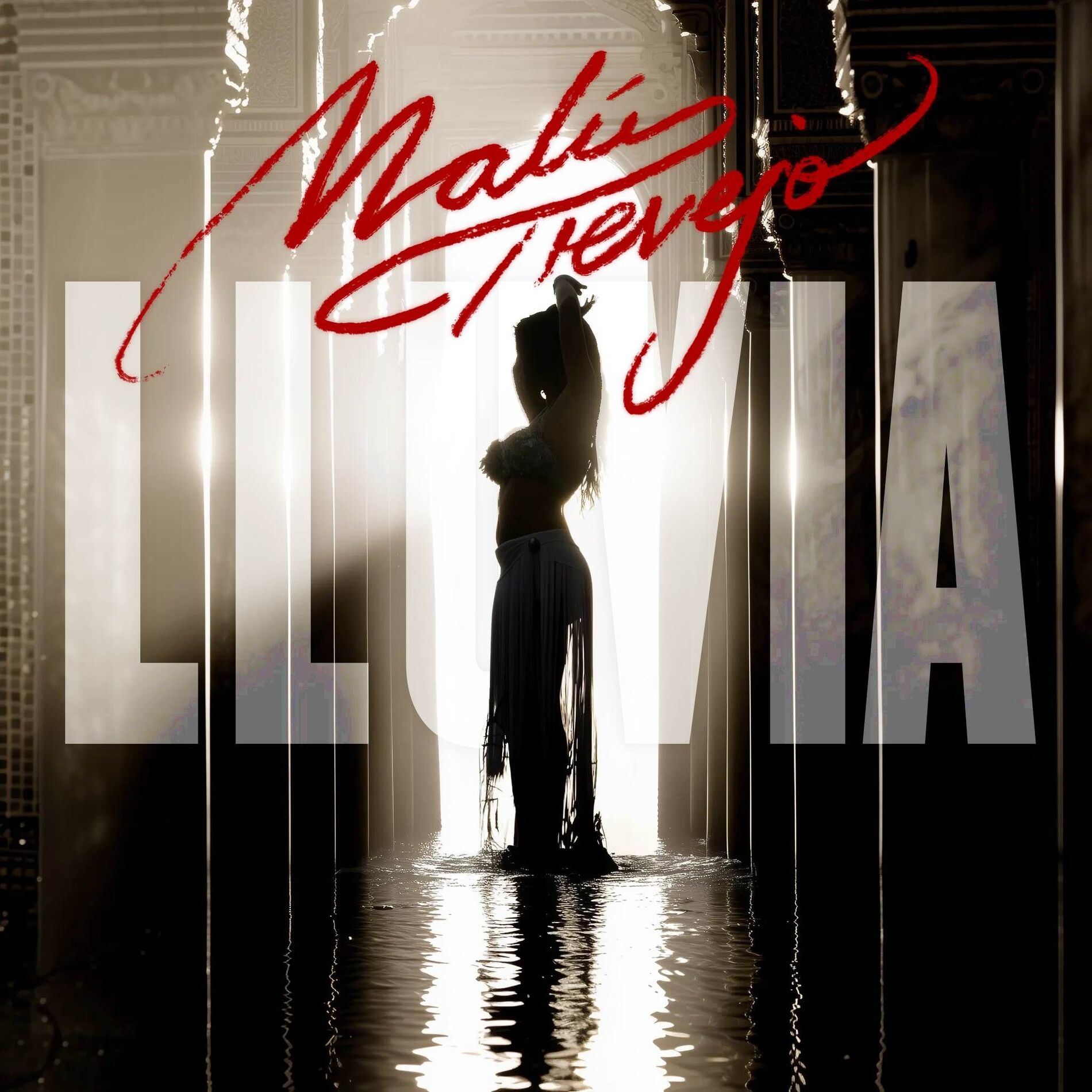 Album cover of Lluvia