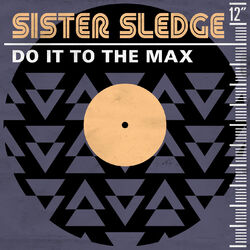 Cover of Do It to the Max
