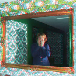 Cover of Mr. Face