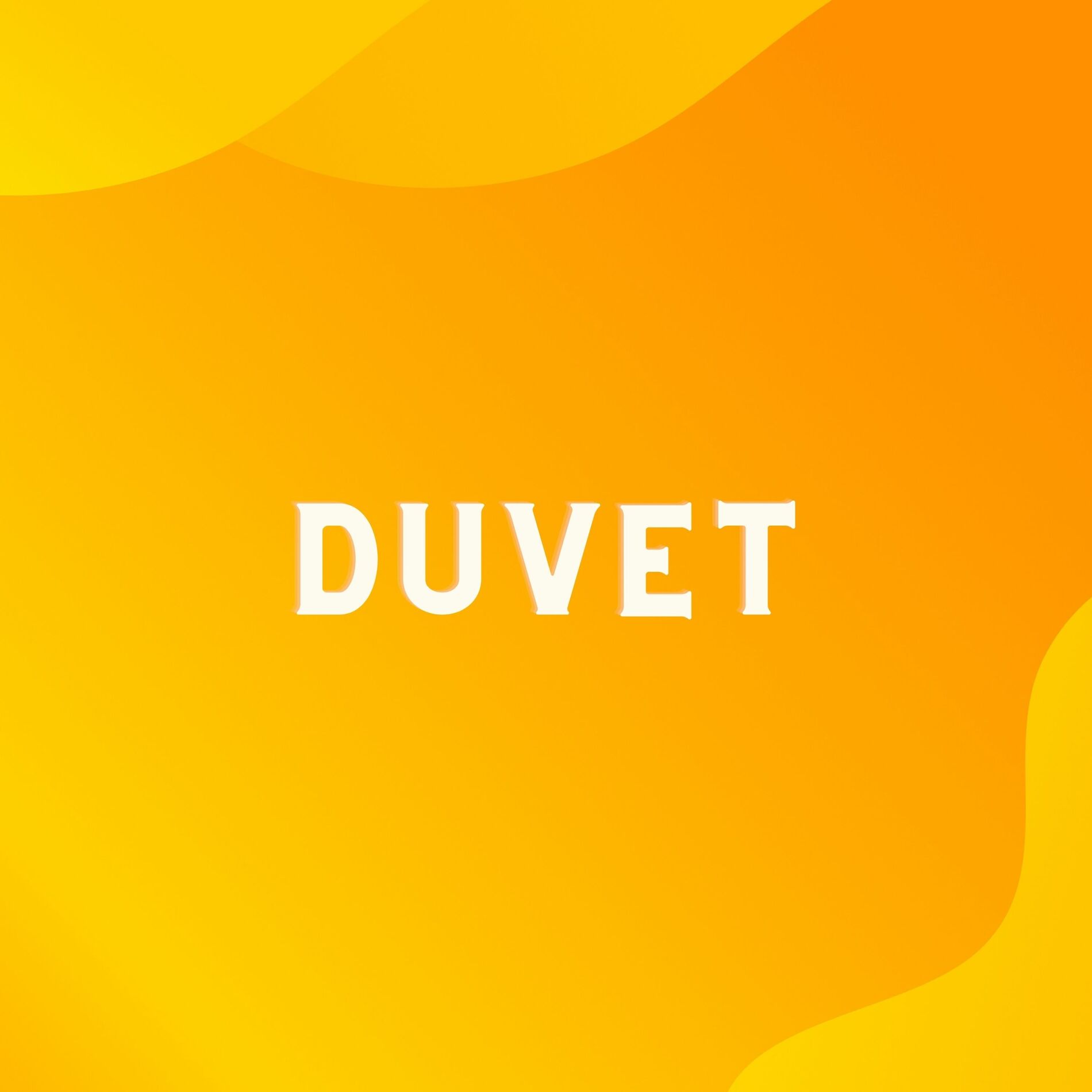 Album cover of And You Don't Seem to Understand (Duvet)