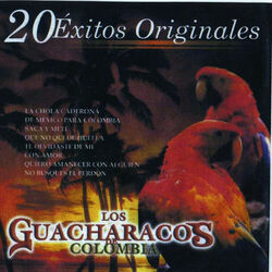 Cover of 20 Exitos Originales