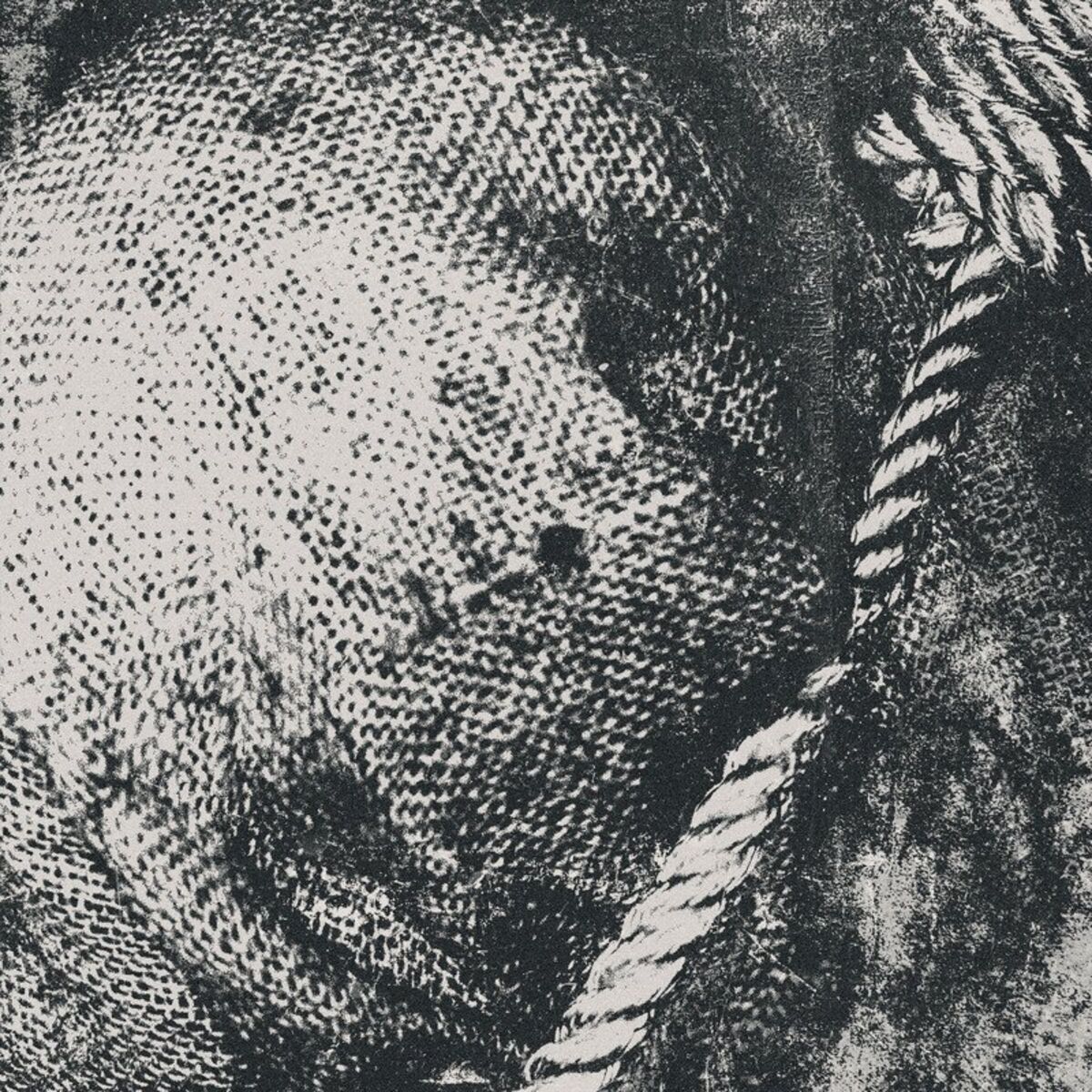 Album cover of Swept in Black